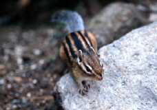 photo14